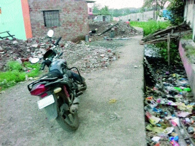 Mugat dog to Bhagur, a growing nuisance of Varah | भगूरला मोकाट श्वान, वराहांचा वाढता उपद्रव Mugat dog to Bhagur, a growing nuisance of Varah | भगूरला मोकाट श्वान, वराहांचा वाढता उपद्रव