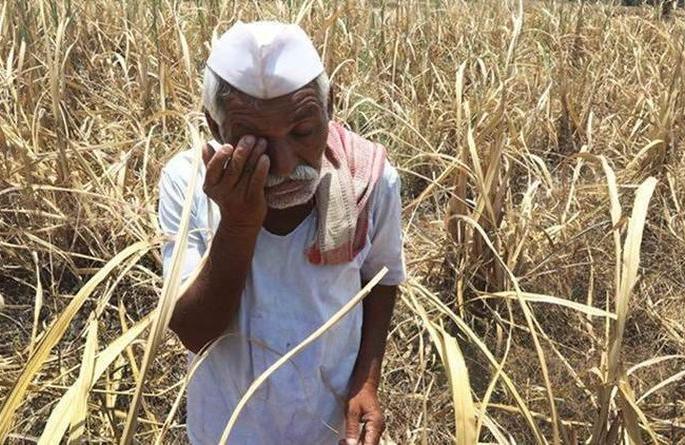 24 crore more needed to help farmers! | शेतकऱ्यांच्या मदतीसाठी आणखी हवे २४ कोटी!