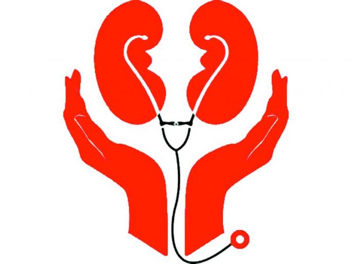 kidney transplant in trouble in Nagpur | उपराजधानीत मूत्रपिंड प्रत्यारोपणाला फटका kidney transplant in trouble in Nagpur | उपराजधानीत मूत्रपिंड प्रत्यारोपणाला फटका