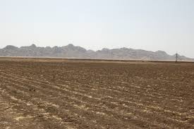 The BJP government's special policies for 'Reliance' in Yavatmal district | यवतमाळ जिल्ह्यात ‘रिलायन्स’साठी भाजपा सरकारच्या पायघड्या The BJP government's special policies for 'Reliance' in Yavatmal district | यवतमाळ जिल्ह्यात ‘रिलायन्स’साठी भाजपा सरकारच्या पायघड्या