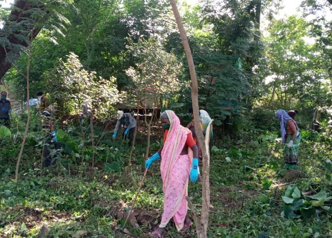 In the third phase, inspection of two lakh 94 thousand citizens | सोशल डिस्टन्स ठेवून , स्वच्छता मोहिमेत तीन टन कचरा उठाव In the third phase, inspection of two lakh 94 thousand citizens | सोशल डिस्टन्स ठेवून , स्वच्छता मोहिमेत तीन टन कचरा उठाव