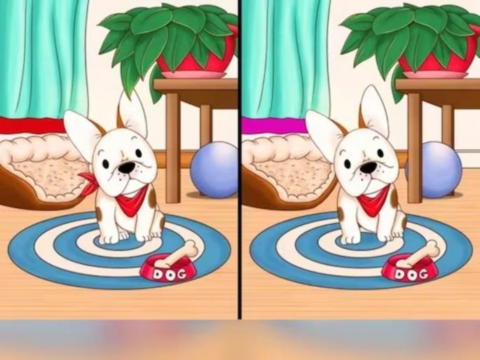 Optical Illusion : Find 5 differences in two similar pictures in 30 seconds | एकसारख्या दिसणाऱ्या दोन फोटोंमध्ये शोधायचे आहेत 5 फरक, 30 सेंकदात पूर्ण करायचं आहे चॅलेंज! Optical Illusion : Find 5 differences in two similar pictures in 30 seconds | एकसारख्या दिसणाऱ्या दोन फोटोंमध्ये शोधायचे आहेत 5 फरक, 30 सेंकदात पूर्ण करायचं आहे चॅलेंज!