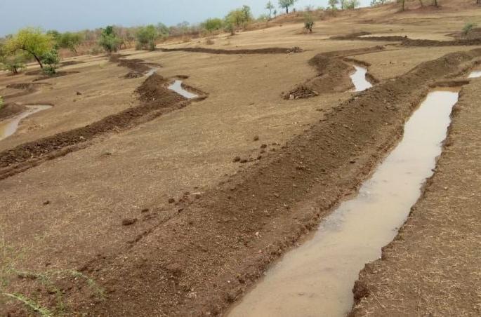 Akola district's rain "entry" | अकोला जिल्ह्यात पावसाची दमदार ‘एन्ट्री’