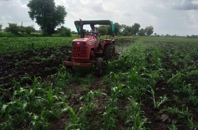 A tractor rotated in a four acre sorghum field | चार एकर ज्वारीच्या शेतात फिरवला ट्रॅक्टर A tractor rotated in a four acre sorghum field | चार एकर ज्वारीच्या शेतात फिरवला ट्रॅक्टर