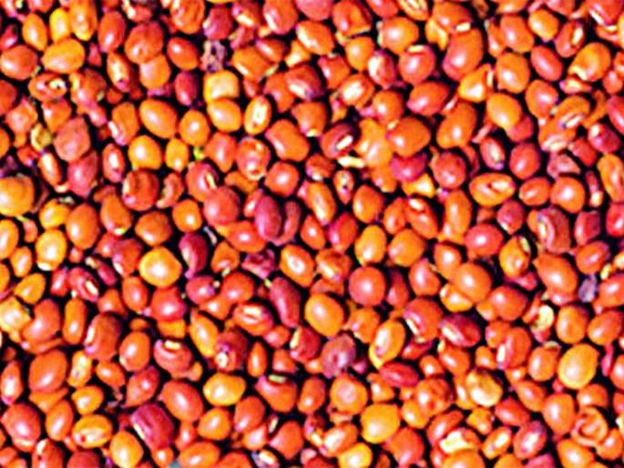 Extension of tour centers, when to buy? | तूर केंद्रांना मुदतवाढ, खरेदी केव्हा? Extension of tour centers, when to buy? | तूर केंद्रांना मुदतवाढ, खरेदी केव्हा?