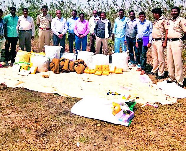 Seven lakhs of Ganja seized from Bembala river bank | बेंबळा नदीपात्रातून सव्वासहा लाखांचा गांजा जप्त Seven lakhs of Ganja seized from Bembala river bank | बेंबळा नदीपात्रातून सव्वासहा लाखांचा गांजा जप्त