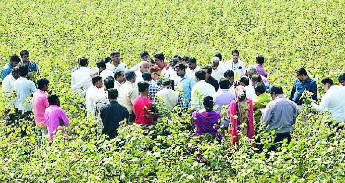 Central squad visits district Wanjota! | केंद्रीय पथकाचा जिल्हा दौरा वांझोटा ! Central squad visits district Wanjota! | केंद्रीय पथकाचा जिल्हा दौरा वांझोटा !