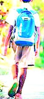 In the primary school session from 1 March | १ मार्चपासून प्राथमिक शाळा सकाळच्या सत्रात