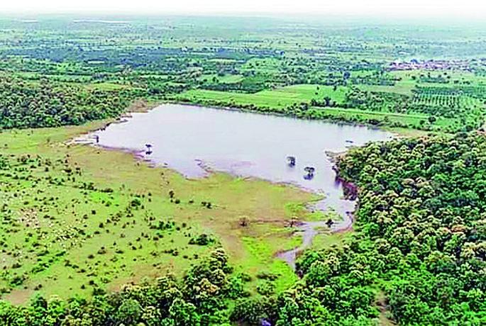 Mahendra forest is now a conservation reserve | महेंद्री जंगल आता संवर्धन राखीव क्षेत्र