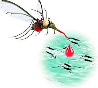 Dengue: What is the delay? | डेंग्यू : उपाययोजनेत दिरंगाई का? Dengue: What is the delay? | डेंग्यू : उपाययोजनेत दिरंगाई का?
