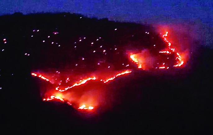 Vanalwa in Melghat: Hundreds of Hector Jungle Khak, Wildlife Village | मेळघाटात वणवा : शेकडो हेक्टर जंगल खाक, वन्यप्राणी गावाकडे Vanalwa in Melghat: Hundreds of Hector Jungle Khak, Wildlife Village | मेळघाटात वणवा : शेकडो हेक्टर जंगल खाक, वन्यप्राणी गावाकडे