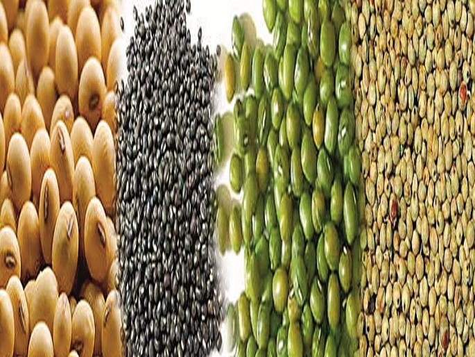 Nafed denied, market rates also fell | नाफेडने नाकारले, बाजारभावही पडले Nafed denied, market rates also fell | नाफेडने नाकारले, बाजारभावही पडले