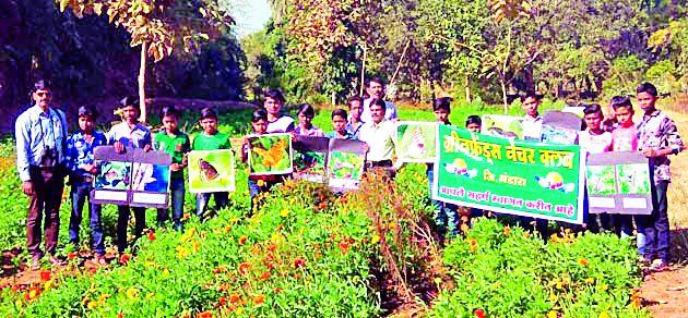 Butterfly introduction program | फुलपाखरू, कीटक परिचय कार्यक्रम