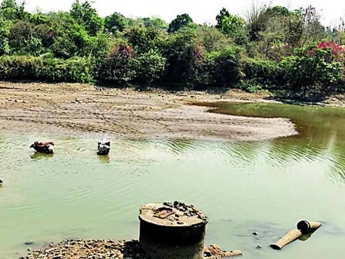 Build a bandage on the Wagh river | वाघ नदीवर बंधारा बांधा