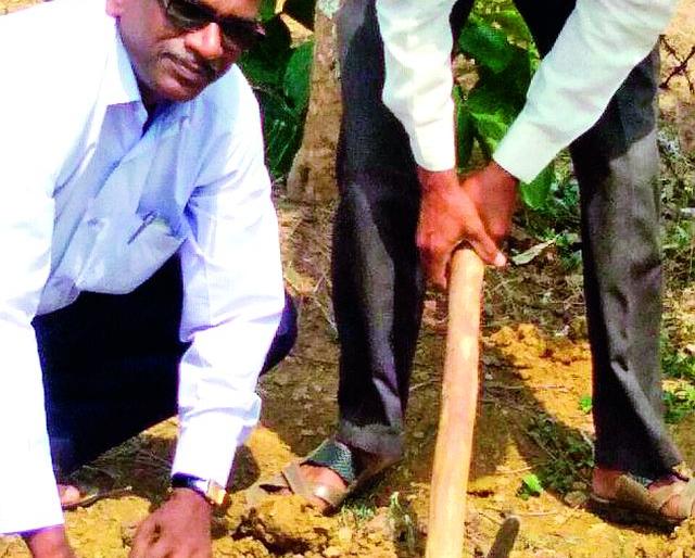 Teachers work to dig the pitches | शिक्षक खड्डे खोदण्याच्या कामाला Teachers work to dig the pitches | शिक्षक खड्डे खोदण्याच्या कामाला