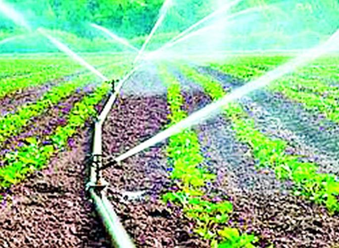 Drip irrigation to farmers now on 80 per cent subsidy | शेतकऱ्यांना ठिबक सिंचन आता ८० टक्के अनुदानावर Drip irrigation to farmers now on 80 per cent subsidy | शेतकऱ्यांना ठिबक सिंचन आता ८० टक्के अनुदानावर