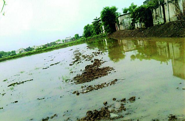 The encroachment killed 40 families in danger | अतिक्रमणाने ४० कुटुंबांचा जीव आला धोक्यात The encroachment killed 40 families in danger | अतिक्रमणाने ४० कुटुंबांचा जीव आला धोक्यात