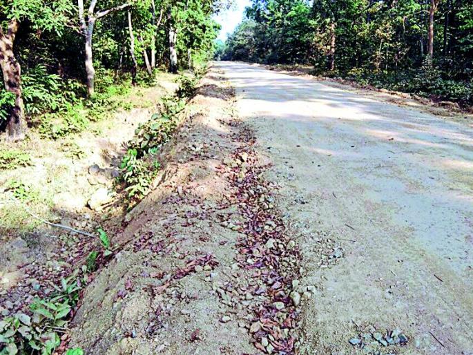 Road construction works in forest area | वनविभागाच्या जागेत रस्ता बांधकामाचे खोदकाम Road construction works in forest area | वनविभागाच्या जागेत रस्ता बांधकामाचे खोदकाम