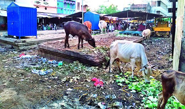 Cleanliness of the Week in the Market | आठवडी बाजारात स्वच्छतेचे धिंडवडे