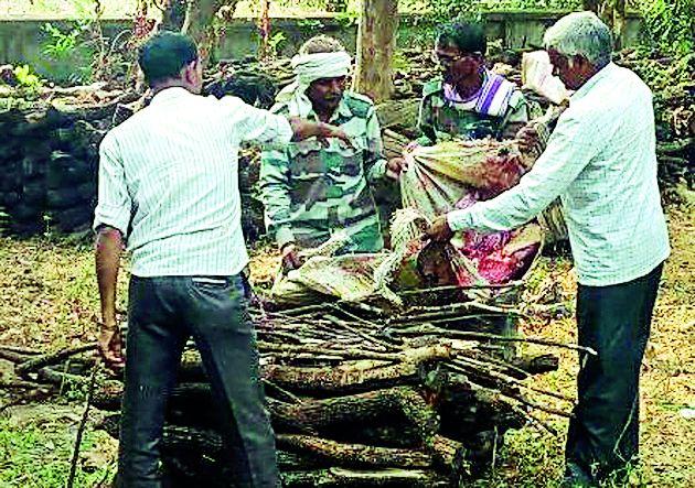 Chitter hunting by electric current | विद्युत प्रवाहाने चितळाची शिकार Chitter hunting by electric current | विद्युत प्रवाहाने चितळाची शिकार