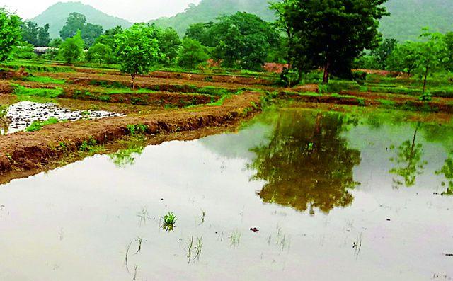 Jalayukta Shivar took a turn in Jalkranti | जलयुक्त शिवाराने मोहाडीत घडविली जलक्रांती Jalayukta Shivar took a turn in Jalkranti | जलयुक्त शिवाराने मोहाडीत घडविली जलक्रांती