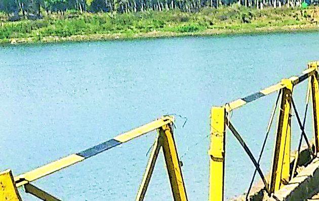 Vansangage infected water sits in the water | वैनगंगेच्या दूषित पाण्याचा नागरिकांना बसतो फटका