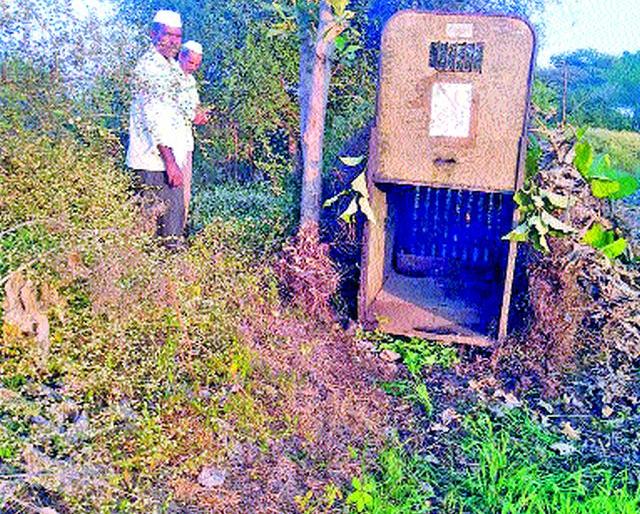 Babysitter Free Communication | बिबट्याचा मुक्तसंचार