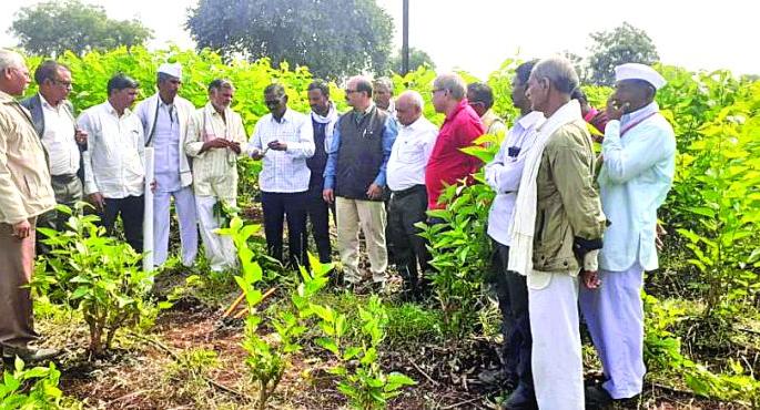 New agenda for 'silk' growth | ‘रेशीम’ वाढीसाठी नवा अजेंडा New agenda for 'silk' growth | ‘रेशीम’ वाढीसाठी नवा अजेंडा