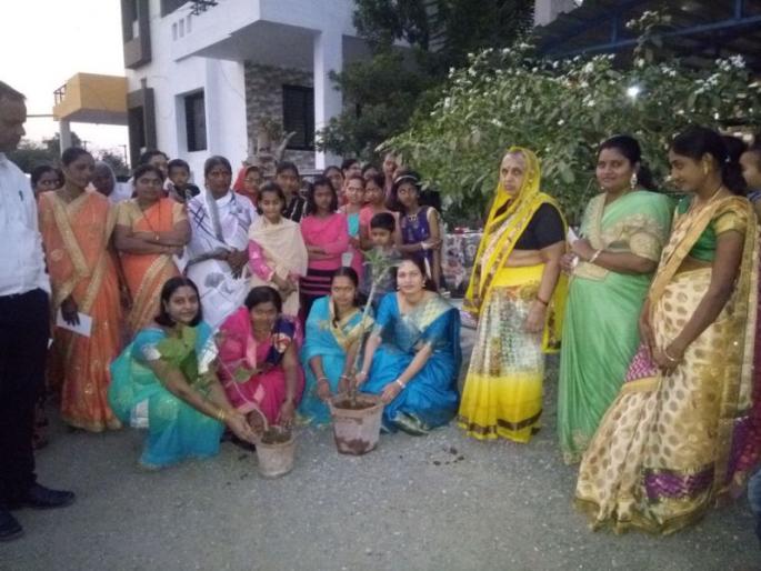 Resolve to save trees by giving them varieties of seedlings in 40 villages | चाळीसगावात रोपांचे वाण देऊन महिलांनी केला वृक्ष संवर्धनाचा संकल्प Resolve to save trees by giving them varieties of seedlings in 40 villages | चाळीसगावात रोपांचे वाण देऊन महिलांनी केला वृक्ष संवर्धनाचा संकल्प