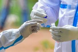 Increase in corona patients in Dadindari taluka | ॅदिंडारी तालुक्यात कोरोना रूग्णांमध्ये वाढ Increase in corona patients in Dadindari taluka | ॅदिंडारी तालुक्यात कोरोना रूग्णांमध्ये वाढ