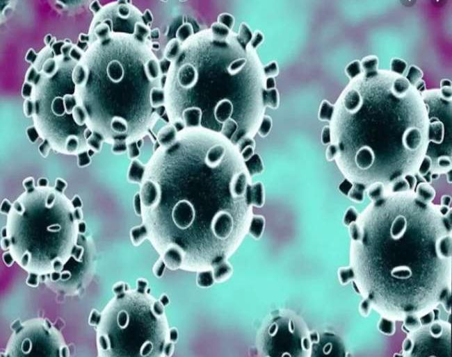 11 people from Pangri are in Sinnar hospital | पांगरीचे ११ जण सिन्नर रुग्णालयात 11 people from Pangri are in Sinnar hospital | पांगरीचे ११ जण सिन्नर रुग्णालयात