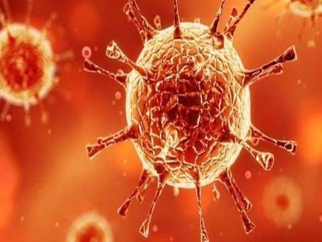 Municipal Corporation to conduct 'Death Audit'! | महापालिका करणार ‘डेथ आॅडिट’ !