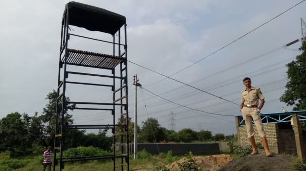 Tigress is Out of Tadoba area with four cubs, since one month | चार बछड्यांसह वाघिण महिनाभरापासून ताडोबा क्षेत्राबाहेर Tigress is Out of Tadoba area with four cubs, since one month | चार बछड्यांसह वाघिण महिनाभरापासून ताडोबा क्षेत्राबाहेर