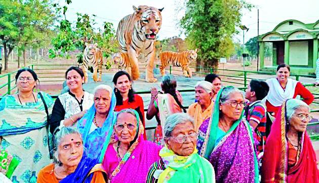 Older Tadoba Travelers | वृद्धाश्रमवासीयांनी केली ताडोबा सफर