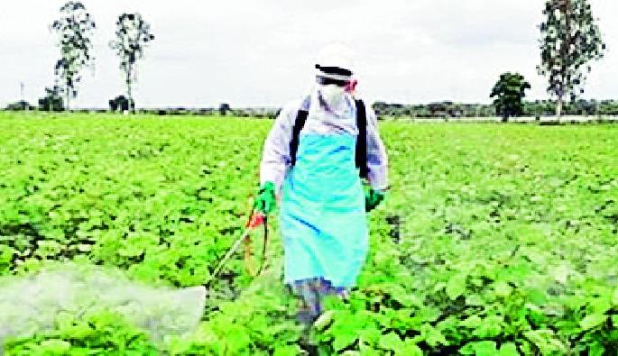 It is the responsibility of the farmer to provide the safety kit | सुरक्षा किट देण्याची जबाबदारी शेतमालकाची It is the responsibility of the farmer to provide the safety kit | सुरक्षा किट देण्याची जबाबदारी शेतमालकाची