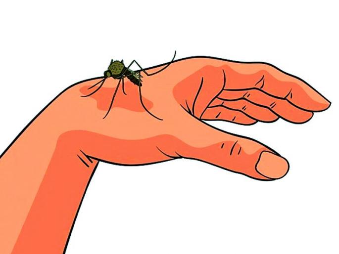Beware ... now the dengue virus is also changing | सावधान... आता डेंग्यूचाही व्हायरस बदलतोय Beware ... now the dengue virus is also changing | सावधान... आता डेंग्यूचाही व्हायरस बदलतोय