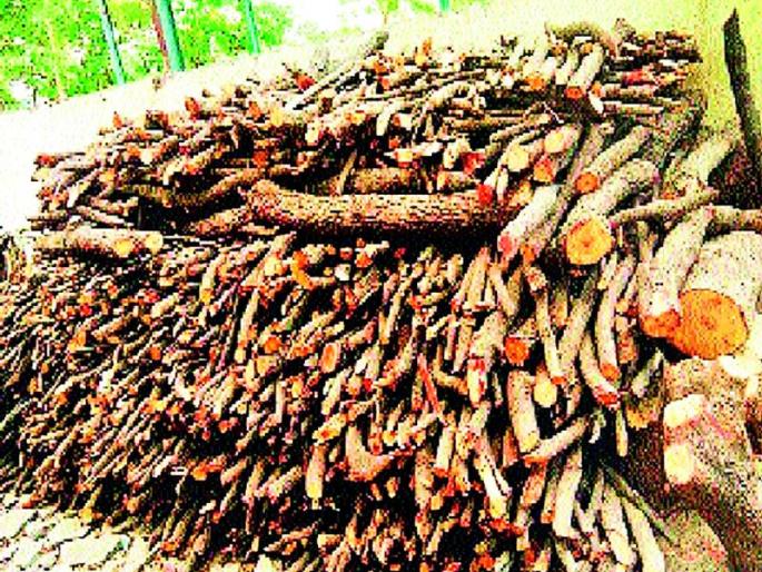 The forest ranger went to the bottom of the forest | तळोधी वनपरिक्षेत्रातील आलेवाहीत वनरक्षकच निघाला वनभक्षक