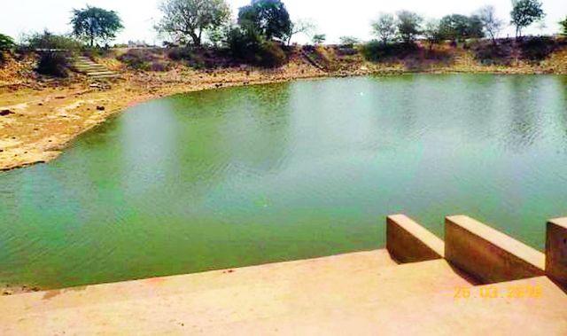 The condition of the ponds is serious | तलावांची स्थिती गंभीर The condition of the ponds is serious | तलावांची स्थिती गंभीर