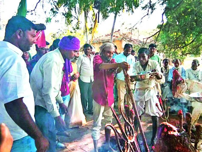 Devotees of Tadoba appeared to devotees | भक्तांना झाले ताडोबा देवाचे दर्शन Devotees of Tadoba appeared to devotees | भक्तांना झाले ताडोबा देवाचे दर्शन