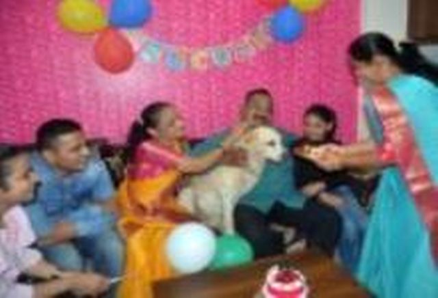 The "Spike" dog got the right family | " स्पाईक " श्वानाला मिळाले हक्काचे कुटुंब The "Spike" dog got the right family | " स्पाईक " श्वानाला मिळाले हक्काचे कुटुंब