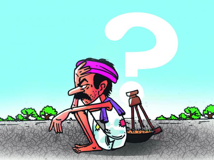 Rain has disrupted crops on 25 thousand hectares | पावसाने २५ हजार हेक्टरवरील पिके बाधित  Rain has disrupted crops on 25 thousand hectares | पावसाने २५ हजार हेक्टरवरील पिके बाधित