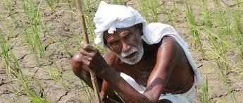 Drought will play politics in the district! | दुष्काळावरून नाशिक जिल्ह्यातील राजकारण रंगणार ! Drought will play politics in the district! | दुष्काळावरून नाशिक जिल्ह्यातील राजकारण रंगणार !