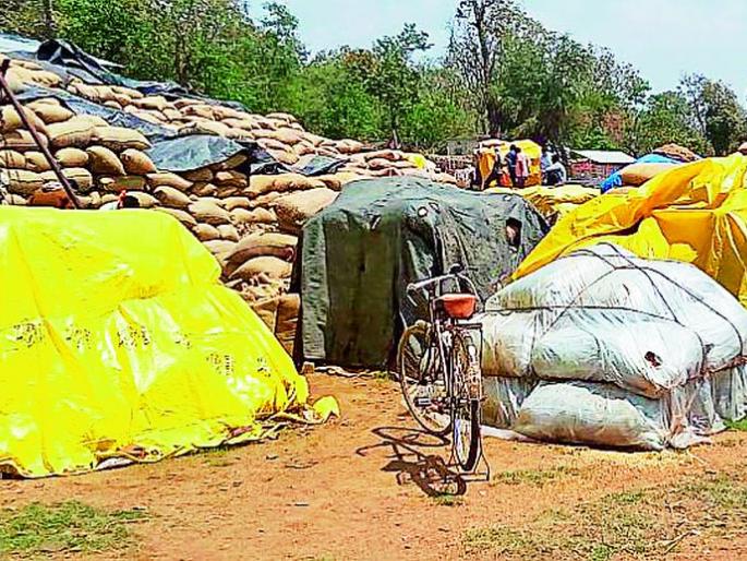 Balance of 64 lakhs | ६४ लाखांचे चुकारे शिल्लक Balance of 64 lakhs | ६४ लाखांचे चुकारे शिल्लक