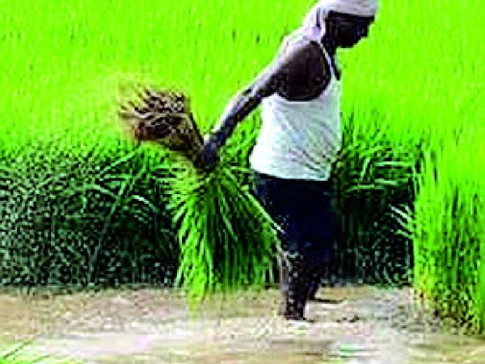 45% farmers have very small land holders | ४५ टक्के शेतकरी अत्यल्प भूधारक