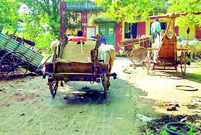  Seized 11 batlands of smuggling sand | रेती तस्करी करणाºया ११ बैलबंड्या जप्त