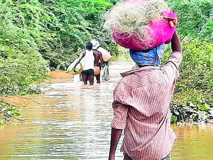 Rain showers in the south | दक्षिण भागात पावसाचा धुमाकूळ Rain showers in the south | दक्षिण भागात पावसाचा धुमाकूळ