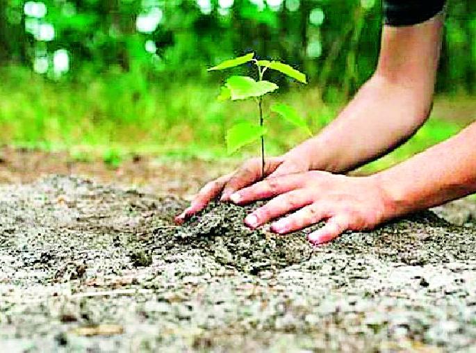 More trees will be planted for the purpose | उद्दिष्टापेक्षा अधिक वृक्ष लागवड होणार