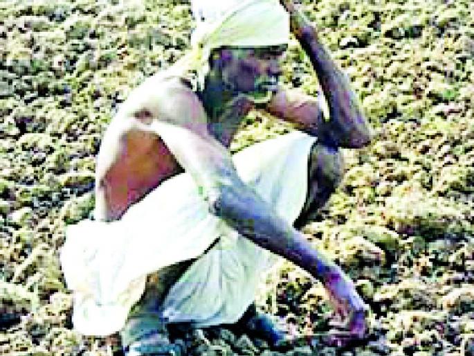 After the 11th list, 25 thousand farmers are waiting for the waiters | ११ व्या यादीनंतरही २५ हजार शेतकरी वेटिंगवर
