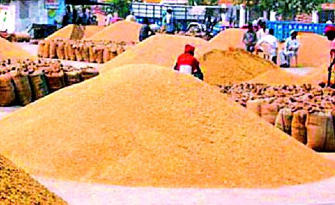 Up to 3 lakh sqft power lift | भरडाईसाठी ३ लाख क्ंिवटल धानाची उचल Up to 3 lakh sqft power lift | भरडाईसाठी ३ लाख क्ंिवटल धानाची उचल