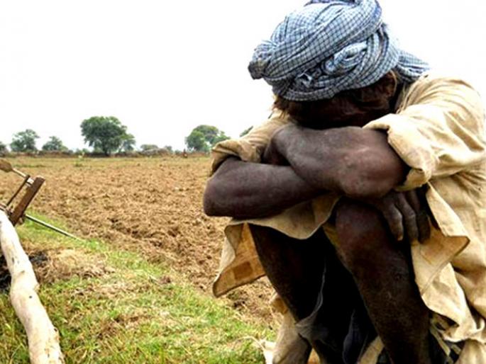 Farmers 'power' | प्रकल्प प्रेरणातून शेतक-यांना ‘बळ’ Farmers 'power' | प्रकल्प प्रेरणातून शेतक-यांना ‘बळ’
